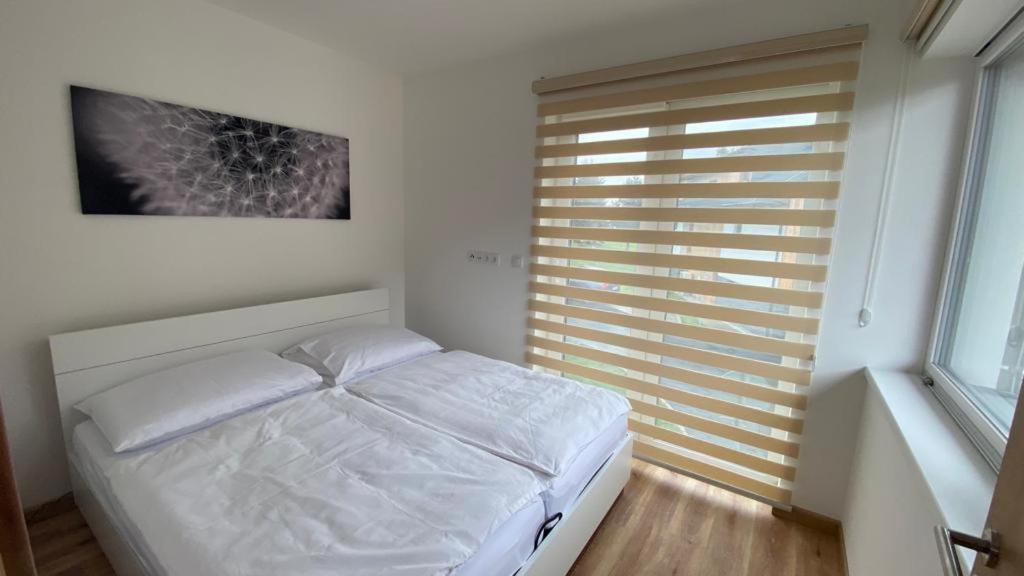 Apartmany - Male Lipno Černá v Pošumaví Exterior foto