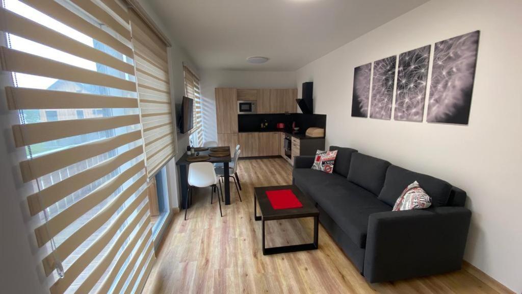Apartmany - Male Lipno Černá v Pošumaví Exterior foto