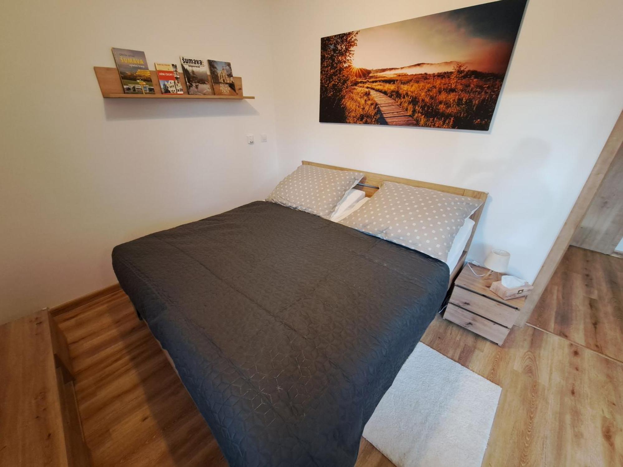 Apartmany - Male Lipno Černá v Pošumaví Cameră foto