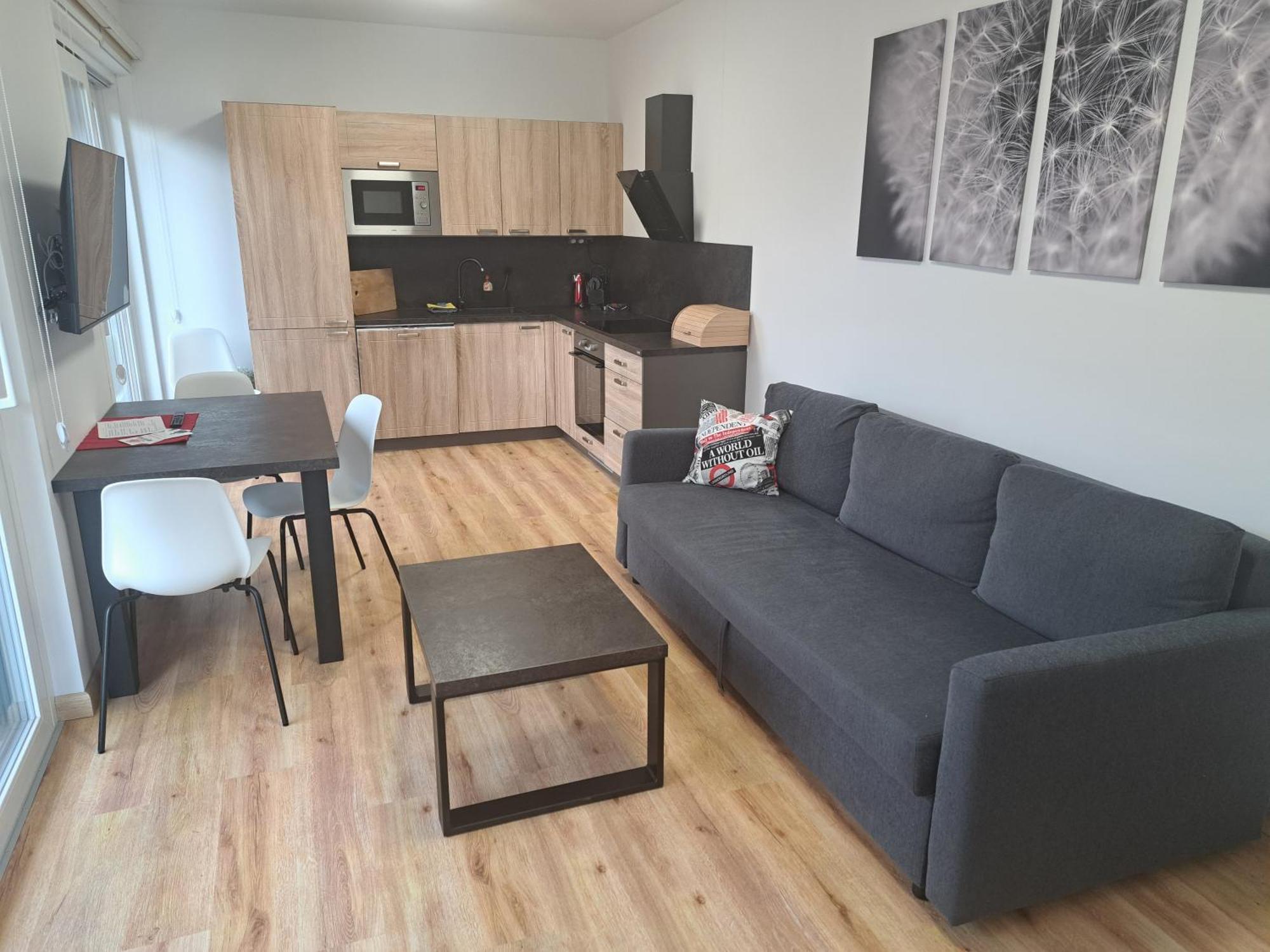 Apartmany - Male Lipno Černá v Pošumaví Cameră foto